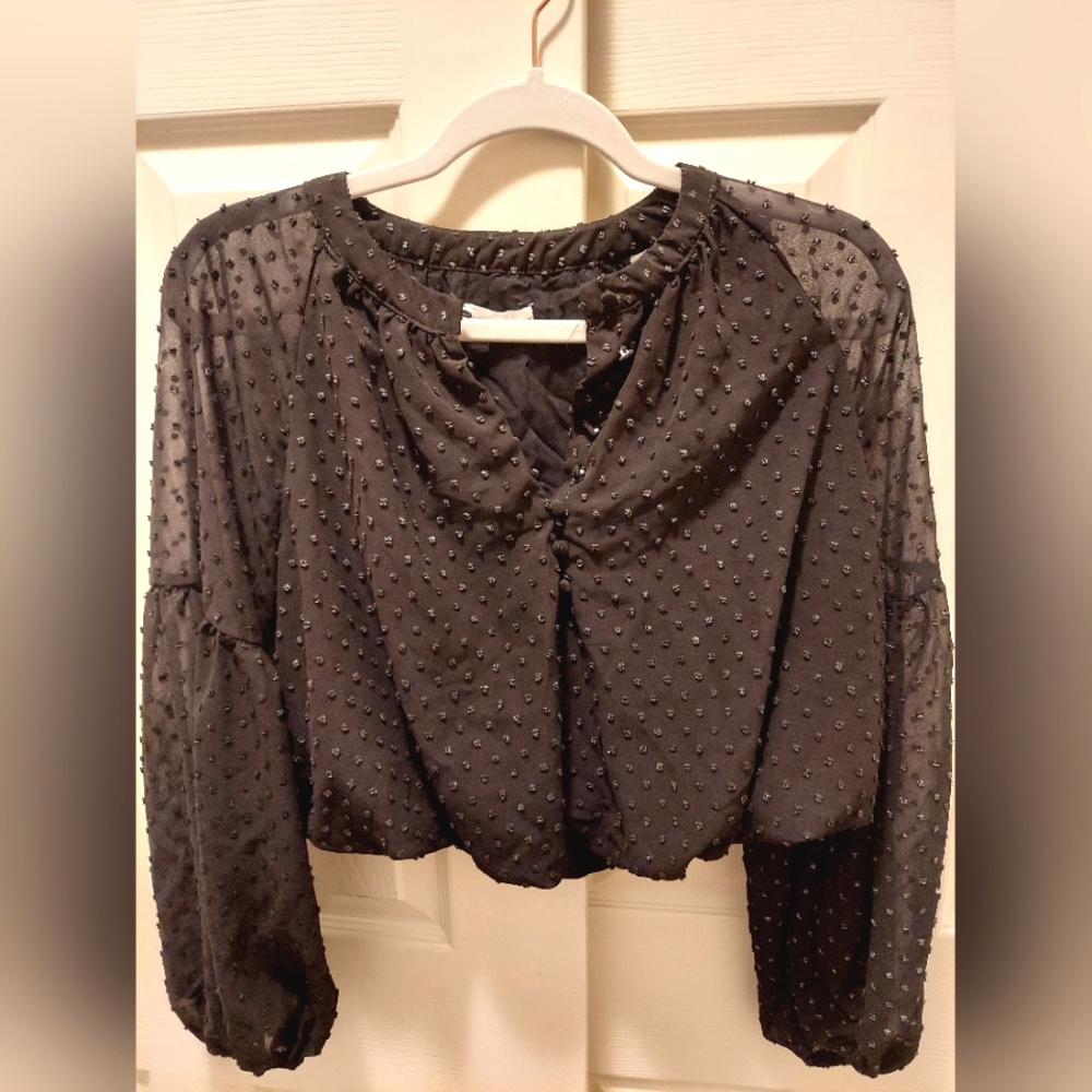 Long Sleeve Sheer Black Blouse